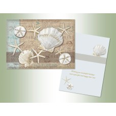 Holiday Shells Exceptional Value Christmas Cards