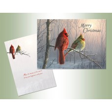 Merry Christmas Cardinals Exceptional Value Christmas Cards