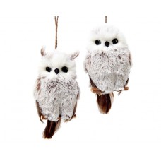 Brown & White Owl Ornaments 2 Piece Set