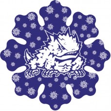 6" Metal Texas Christian University Horned Frogs Snowflake Ornament